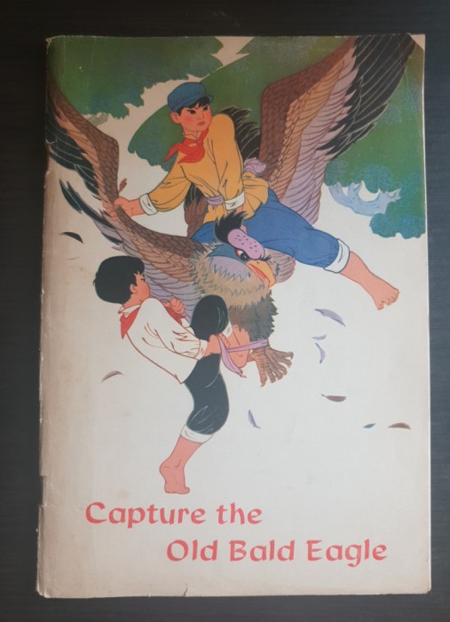 Capture the Old Bald Eagle