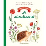 A s&uuml;ndiszn&oacute; - Emmanuelle Kecir-Lepetit