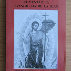 Comentar la Evanghelia de la Ioan/ Sfantul Ioan Gura de Aur