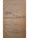 N. Radulescu-Niger - Strein in Tara lui..., editia I (Editia: 1900)