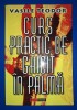 Curs Practic Ghicit &icirc;n Palmă - Teodor Vasile, Aldo Press 2001 - Carte Spiritualitate, Ezoterism, Chiromanție