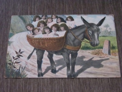 Ilustrație Umoristică cu Măgar și Coș cu Copii ,Carte Poștală pentru Colecționari foto