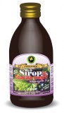SIROP COACAZ NEGRU+INDULCITOR STEVIE 250ML