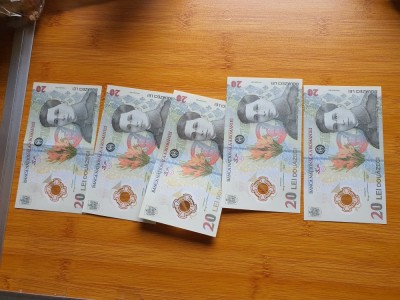 Bancnote 20 Lei foto