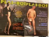 revista Plai cu boi, revista lu Dinescu, ianuarie si februarie 2001