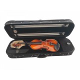 Cutie vioara 4 4 Maestru SA300