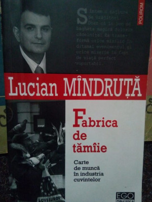 Lucian Mandruta - Fabrica de tamaie (2004) foto