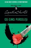 Cei cinci purcelusi - Editura Litera