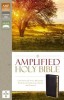 Amplified-Am: Captures the Full Meaning Behind the Original Greek and Hebrew