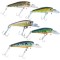Vobler Baracuda Standard 55 mm, 4.5 g, floating