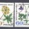 Poland 1967 Flowers, used G.246