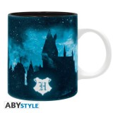 Cana Harry Potter Expecto Patronum 320 ml, Abysee Corp
