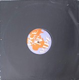 Vinil LP Grant Nelson - Nice &#039;N&#039; Ruff EP (1995, Westbury Music, 33 RPM) Folk/Pop/Rock - Disc 30cm