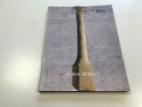 HORIA BERNEA ALBUMUL EXPOZITIEI DE LA MNAR- ARTA CONTEMPORANA BUCURESTI 1997 FORMAT MARE. TEXTE DE ANDREI PLESU, PAUL NEAGU, SORIN DUMITRESCU SI ALTII