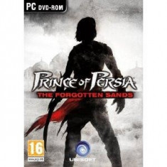 Prince of Persia The Forgotten Sands PC foto