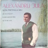 Disc vinil, LP. SOTIA PRIETENULUI MEU-ALEXANDRU JULA-264393