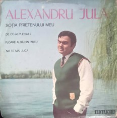 Disc vinil, LP. SOTIA PRIETENULUI MEU-ALEXANDRU JULA-264393 foto
