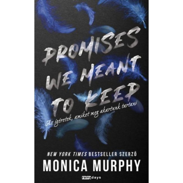 Promises We Meant to Keep - Az &iacute;g&eacute;retek, amiket meg akartunk tartani - &eacute;ldekor&aacute;lt - Monica Murphy