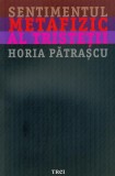 Horia Patrascu - Sentimentul metafizic al tristetii (melancolie nostalgie tristete metafizica angoasa depresie demonul amiezii psihologie filosofie)