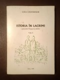 Luca Călvărăsan (dedicație / autograf) - Istoria &icirc;n lacrimi - episodul T&acirc;rgșor și altele (vol. 1)