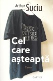 Cel care asteapta - Arthur Suciu - Cartier