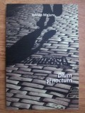 Adrian Majuru - Bucuresti. Diurn si Nocturn (Curtea Veche, 2009, 192 pag., ilustratii) orasul Bucurestiul antropologie urbana viata de noapte cotidian