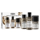 L&rsquo;Or&eacute;al Professionnel Serie Expert Absolut Repair Molecular set cadou pentru par deteriorat