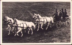 CP100 Carte poștală Ungaria Debreceni &ouml;t&ouml;s fogat tematică trăsură, cai