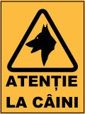 Placuta atentie la caine