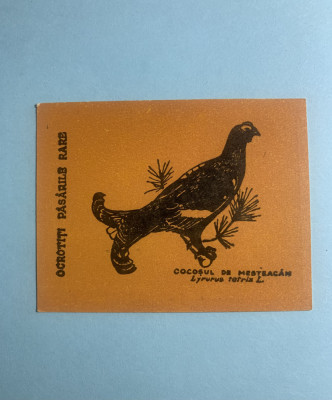 Calendar 1969 Păsări Cocoșul de mesteacăn foto