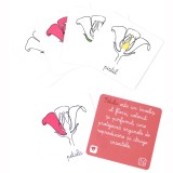 Lectii Montessori - Botanica |