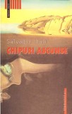 Chipuri Ascunse - Salvador Dali - Roman, Humanitas, 2004, 403 pagini