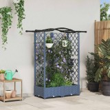 vidaXL Pat Ridicat cu Trellis și Acoperiș Gri 124 x 40 x 126 cm PP 42032557