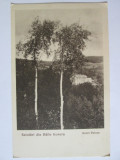 Carte poștală Băile Govora:Hotel Palace,necirculată anii 20, Necirculata, Printata, Valcea