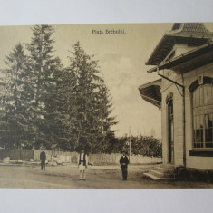 Rara! Carte postala Piata Brebului(Prahova),necirculata cca.1915