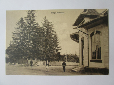 Rara! Carte postala Piata Brebului(Prahova),necirculata cca.1915 foto