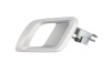 Maner usa SKODA FABIA II (2006 - 2014) BLIC 6010-43-008409PP