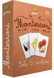 Cumpara ieftin Montessori. Clasificare. Cele 5 simturi