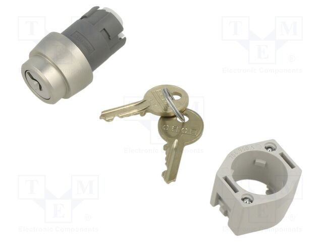 Comutator rotativ cu cheie 22mm EAO Poz.i stabil 2 argintie fără