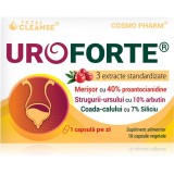 Cosmo Pharm UroForte capsule pentru căi urinare sănătoase 10 caps.
