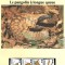 Gambia 1993 - Pangolin cu coada lungă, Set WWF, 6 poze, MNH (vezi descrierea)