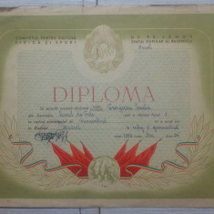 Diploma sportiva, baschet// Muscel 1954