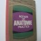 Notiuni de anatomie practica - Nicolae Diaconescu , Nicolae Rottenberg , ...