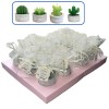 Marturii Nunta , Lumanare Cactus in Ghiveci Home cu Tulle Ivory si Eticheta Personalizata