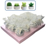 Cumpara ieftin Set 12 Marturii Nunta , Lumanare Cactus in Ghiveci Home cu Tulle Ivory si Eticheta Personalizata