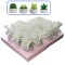 Marturii Nunta , Lumanare Cactus in Ghiveci Home cu Tulle Ivory si Eticheta Personalizata