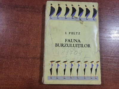 Fauna Burzuluitilor de I.Peltz foto