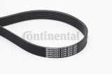 CONTINENTAL CTAM 8PK2035 Curea transmisie cu caneluri