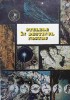 Stelele in Destinul Nostru - Colectiv, Tipografia Centrala 1992, Carte Hobby, Romana, 77 Pagini, Necartonata