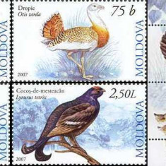 MOLDOVA 2007, Fauna - Pasari,, serie neuzată, MNH